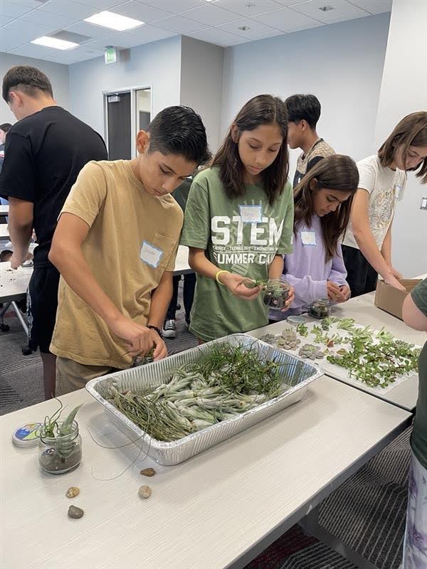 Students working with plants